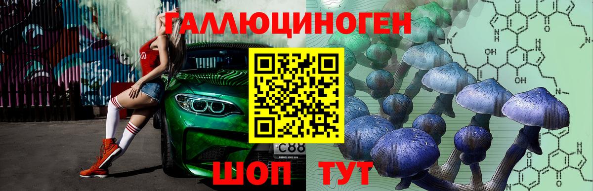 Псилоцибиновые грибы Psilocybe Усинск